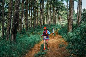 BIB: 
                            <button type="button" onclick="openModal(25744816)" class="btn btn-primary btn-sm float-right btn-popup" data-toggle="modal" data-target=".modal-high-quality">
                        <i class="fas fa-shopping-cart"></i> Add to Cart
                    </button>
                                            <button type="button" onclick="isThisMe(25744816, true)" class="btn btn-success btn-sm float-right btn-popup btn-isme hidden" data-toggle="tooltip" data-placement="bottom" title="นี่คือรูปของคุณใช่ไหม คลิกที่นี่เพื่อเอาเข้าอัลบั้ม">
                        <i class="fas fa-plus"></i> Add to album
                    </button>
                    <button type="button" onclick="isThisMe(25744816, false)" class="btn btn-warning btn-sm float-right btn-popup btn-isnotme hidden">
                        <i class="fas fa-ban"></i> Remove from album
                    </button>